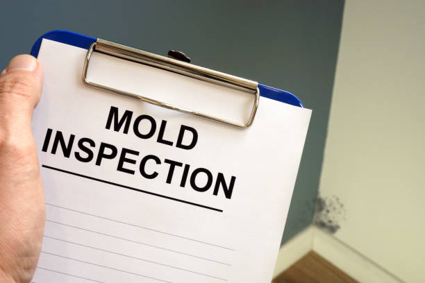 Best Industrial Mold Remediation  in Black Diamond, WA